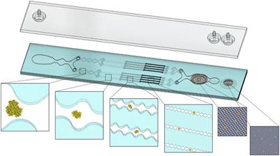 Optimization of Mechanical Tissue Dissociation Using an Integrated Microfluidic Device for Improved Generation of Single Cells Following Digestion